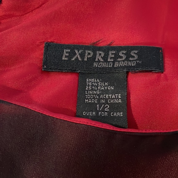 Express Dress - Picture 3 of 3